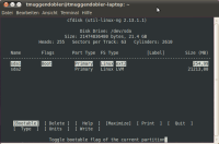 Dieser Screenshot zeigt, dass der komplette Festplattenspeicher, der dieser VM zugewiesen ist, zum einen für die Bootpartition und zum anderen für das LVM vergeben ist. Dieser Screenshot zeigt, dass der komplette Festplattenspeicher, der dieser VM zugewiesen ist, zum einen für die Bootpartition und zum anderen für das LVM vergeben ist.